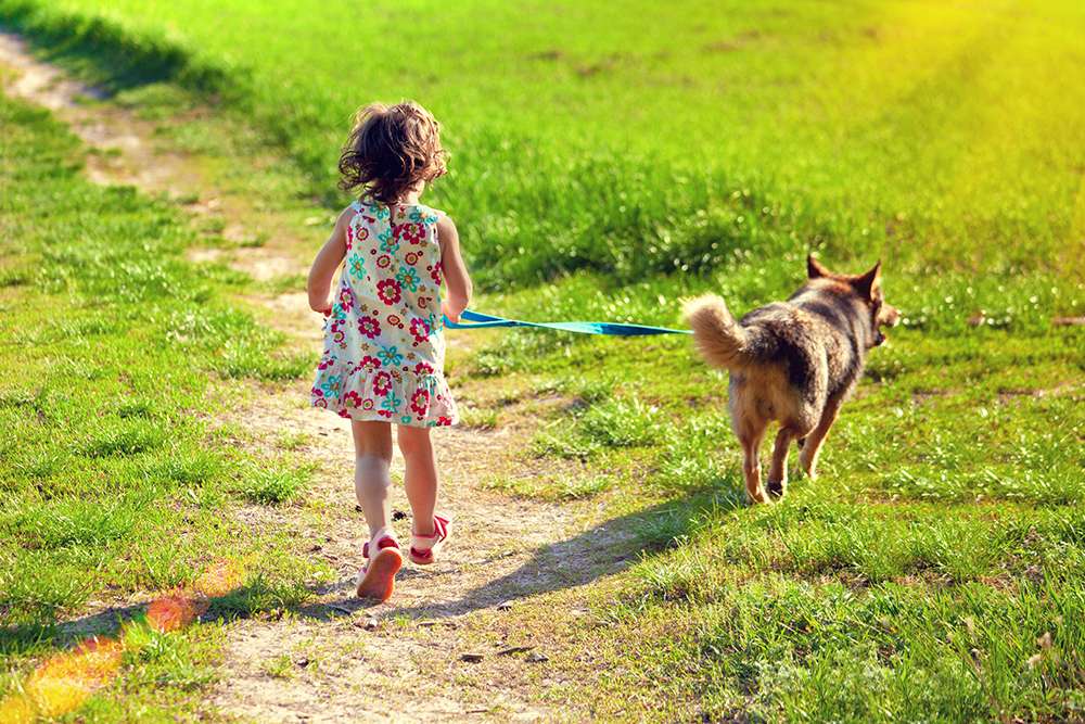 περπατήστε με τον σκύλο παζλ online
