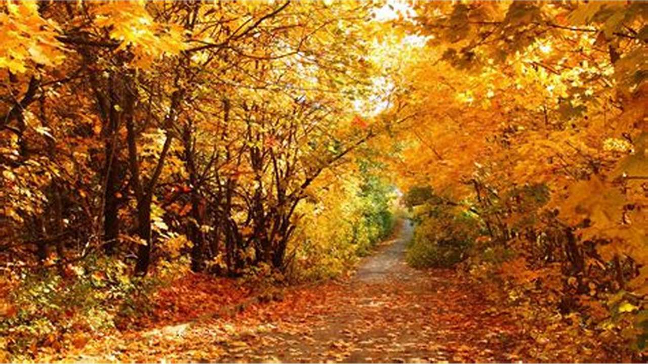 Autumn forest online puzzle