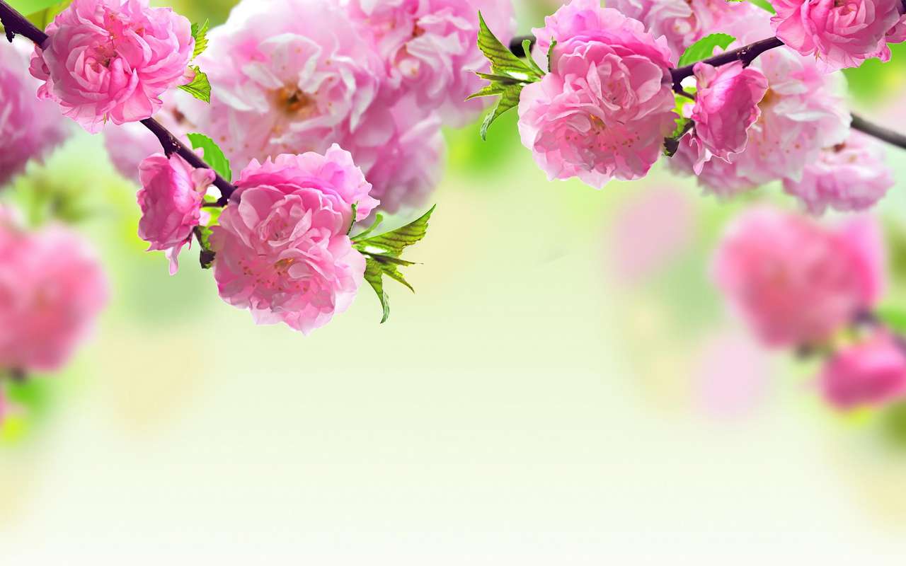 Kvetoucí strom skládačky online