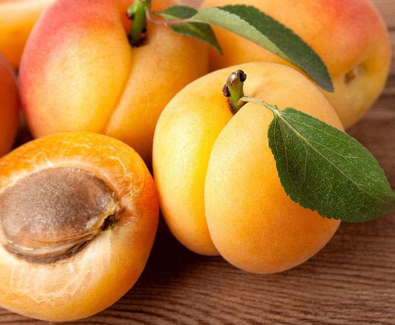 abrikoos fruit online puzzel