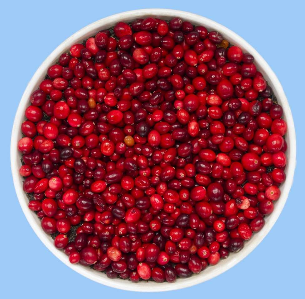Fruits ronds rouges sur bol en céramique blanche puzzle en ligne