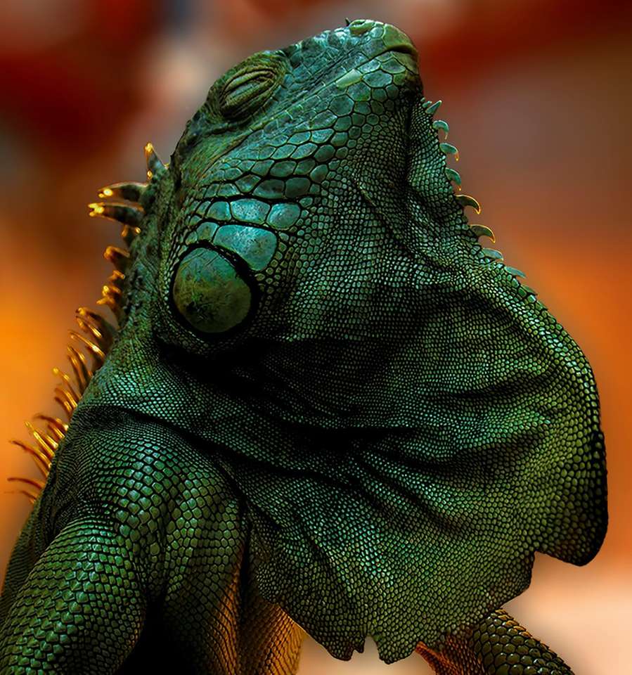 dragón barbudo verde y marrón rompecabezas en línea
