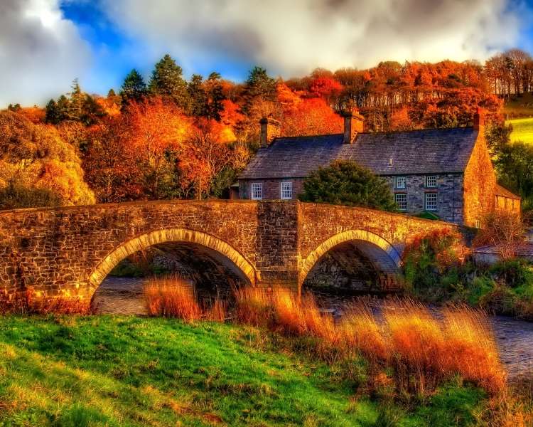 Casa e ponte sobre o rio puzzle online