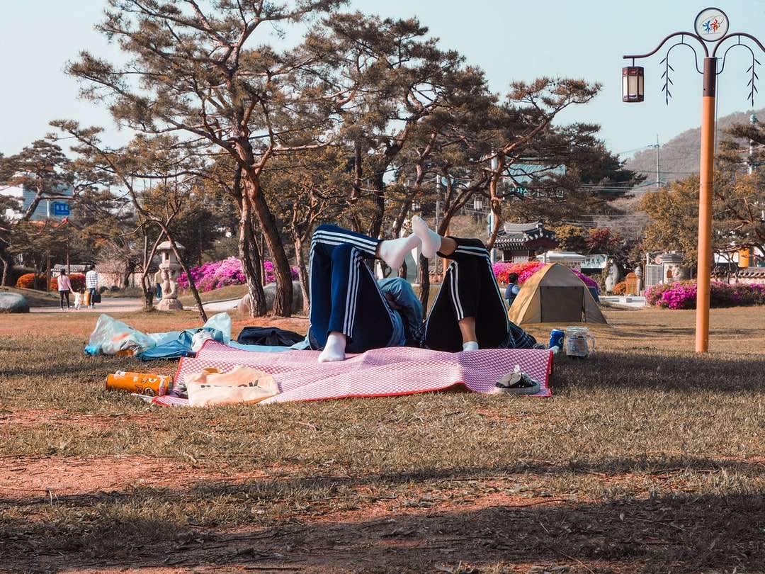 två personer som ligger på rosa matta i park pussel på nätet