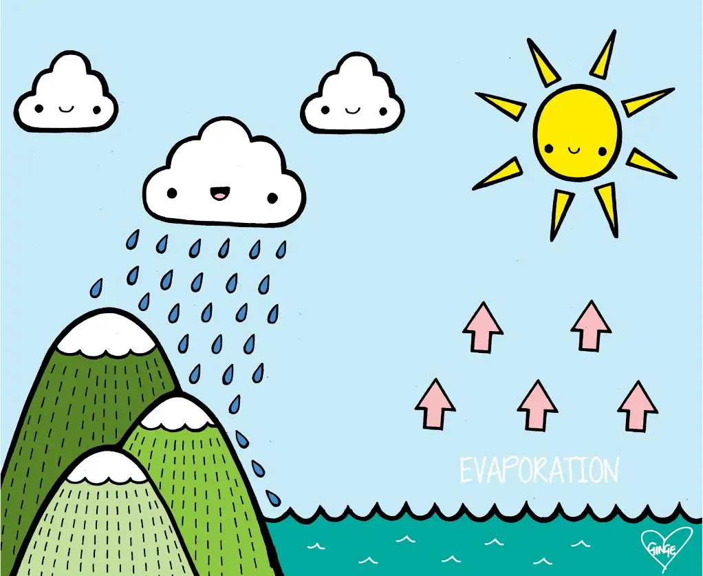 Water Cycle | Science | ShowMe