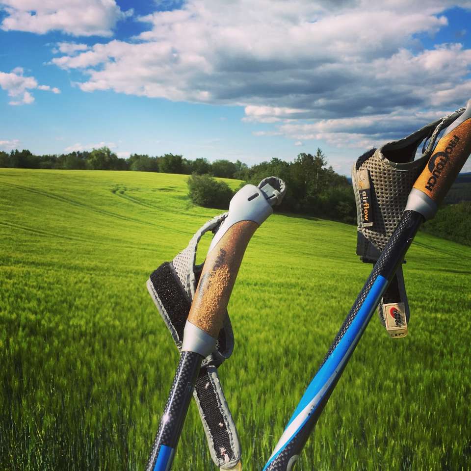 черен и син голф клуб на поле със зелена трева онлайн пъзел
