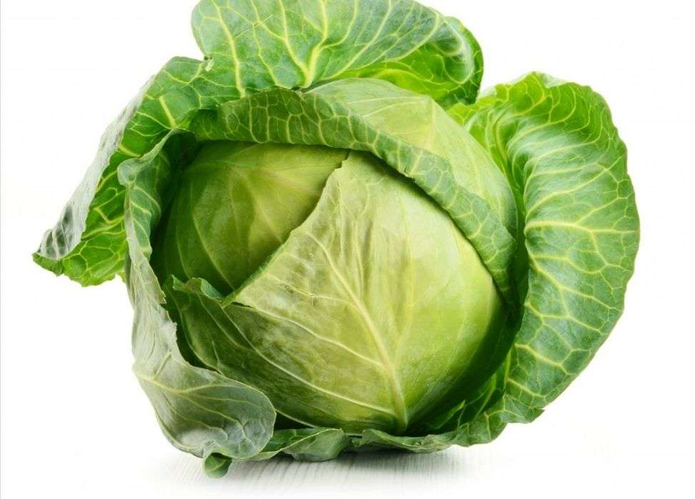 Green cabbage jigsaw puzzle online