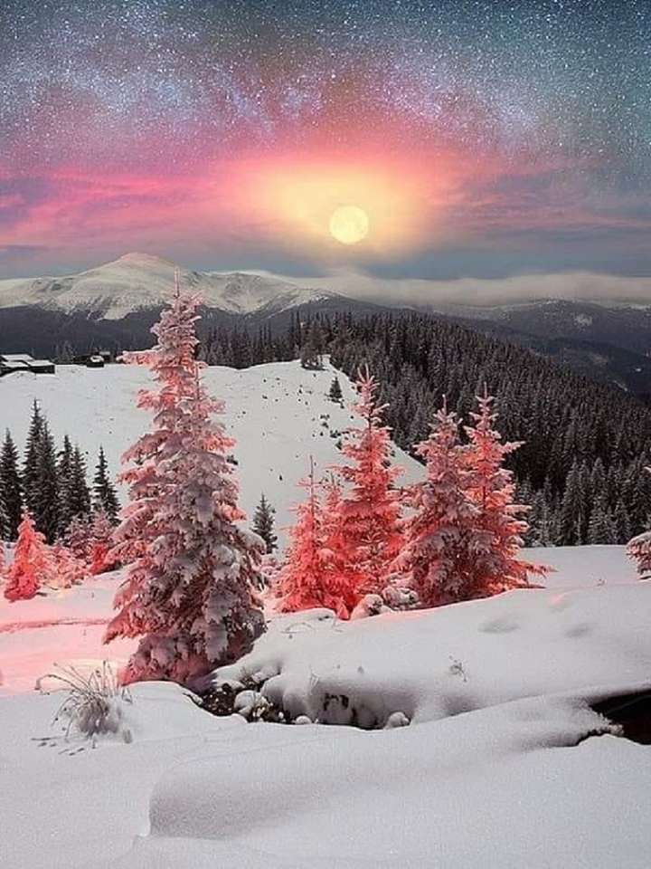 Winter landschap. online puzzel