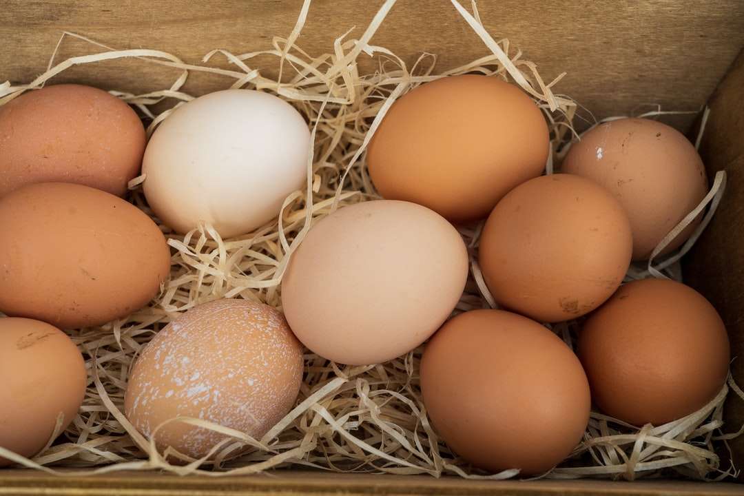 кафяво яйце върху кафяво гнездо онлайн пъзел