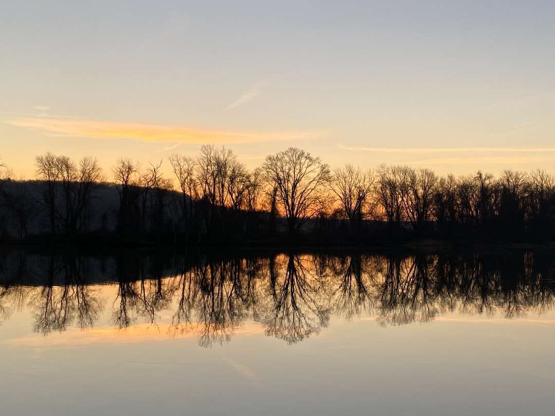 silhouette di alberi vicino al corpo d'acqua durante il tramonto puzzle online