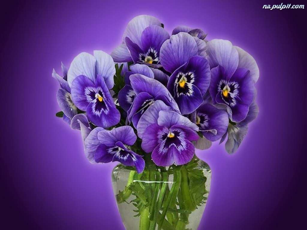 picture- pansies jigsaw puzzle online