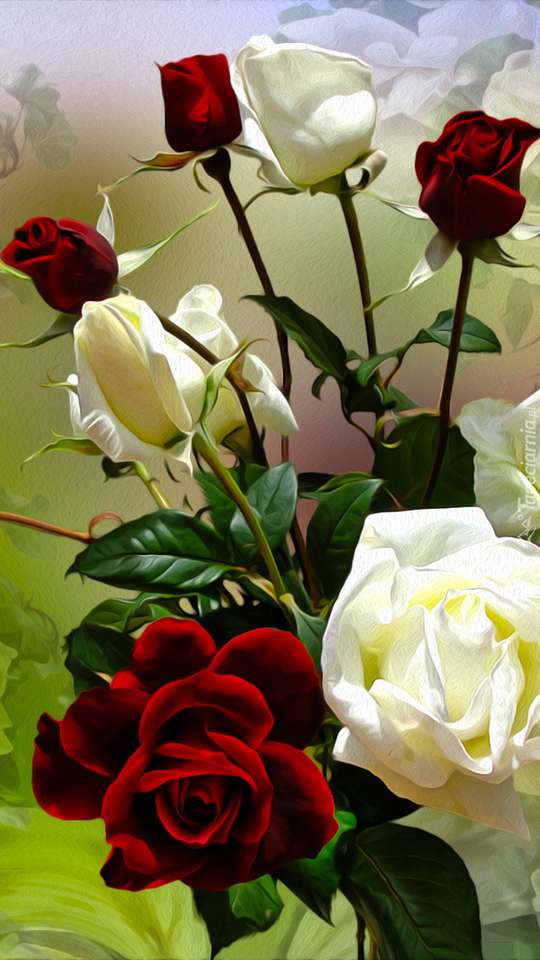 bílé a červené růže online puzzle