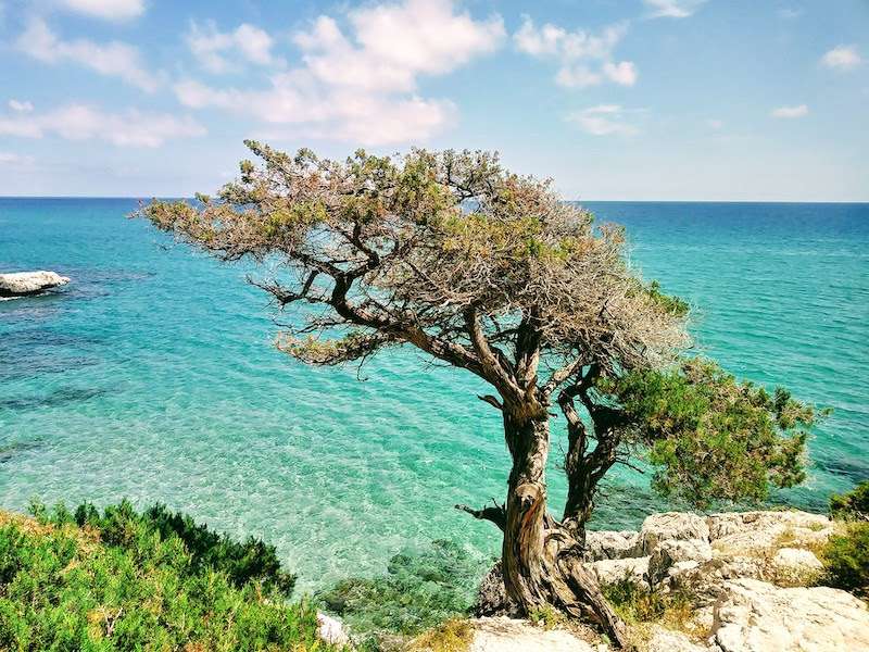 de oude man en de zee Sardinië Italië legpuzzel online