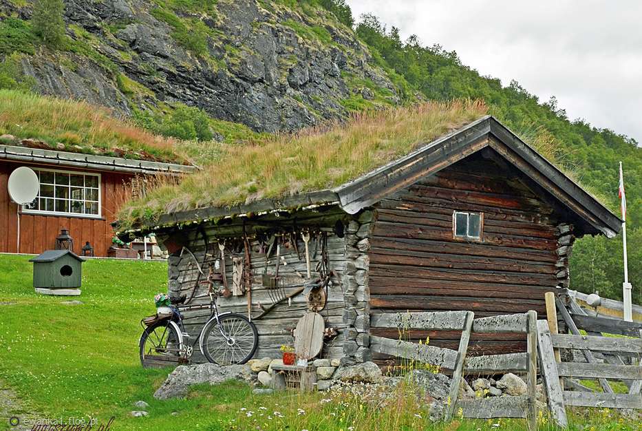 zöld tetők Norvégiában online puzzle