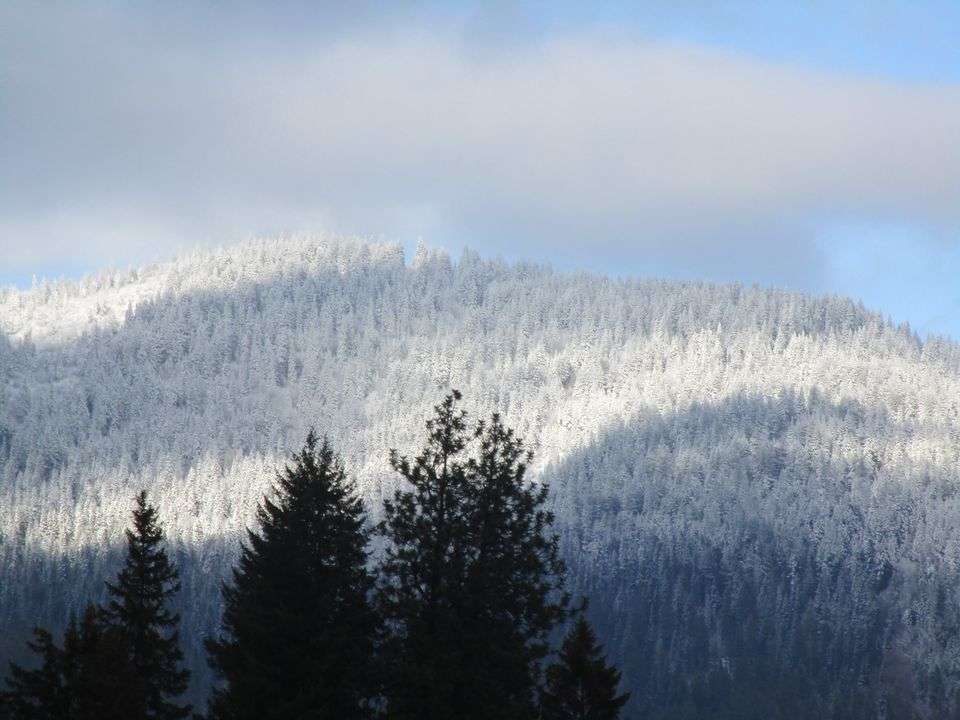 Rathdrum berg med snö pussel på nätet