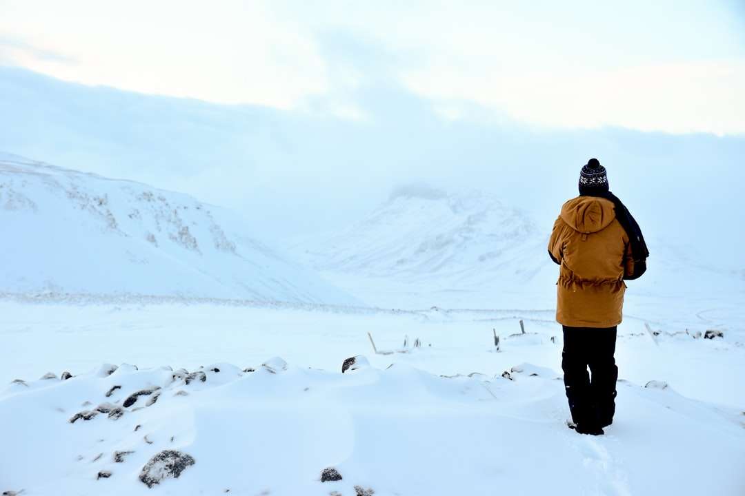 άτομο που περπατά σε χιονισμένη περιοχή παζλ online