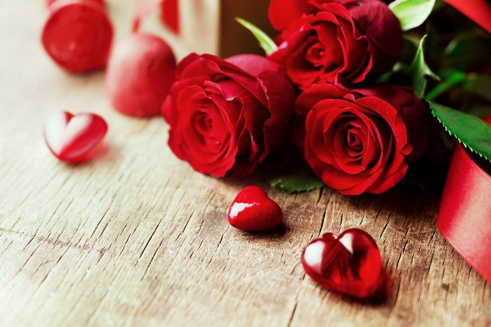 červené růže online puzzle