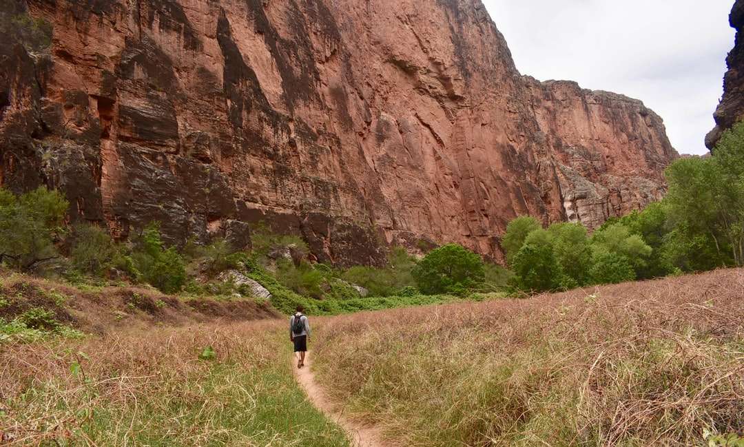 човек, който върви по откритото поле към планината онлайн пъзел