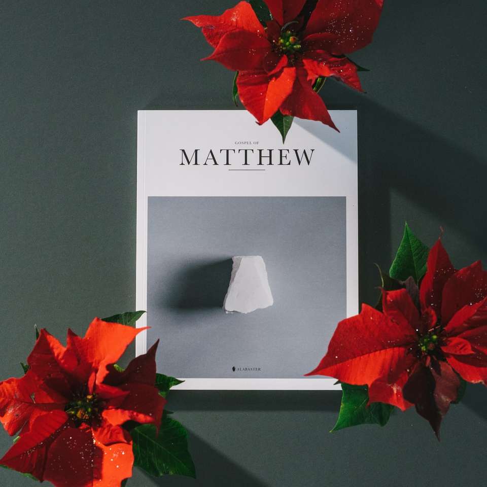 Matthew boek in de buurt van rode poinsettia bloemen online puzzel