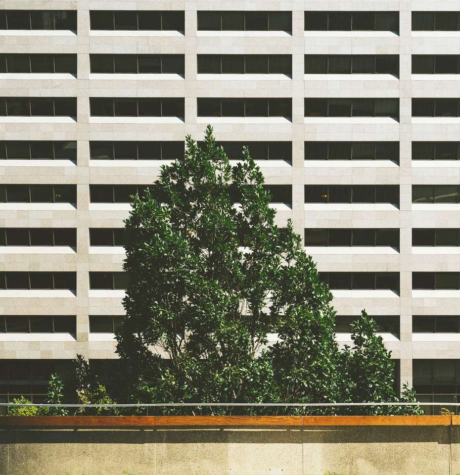 зелено дърво до бетонна сграда онлайн пъзел