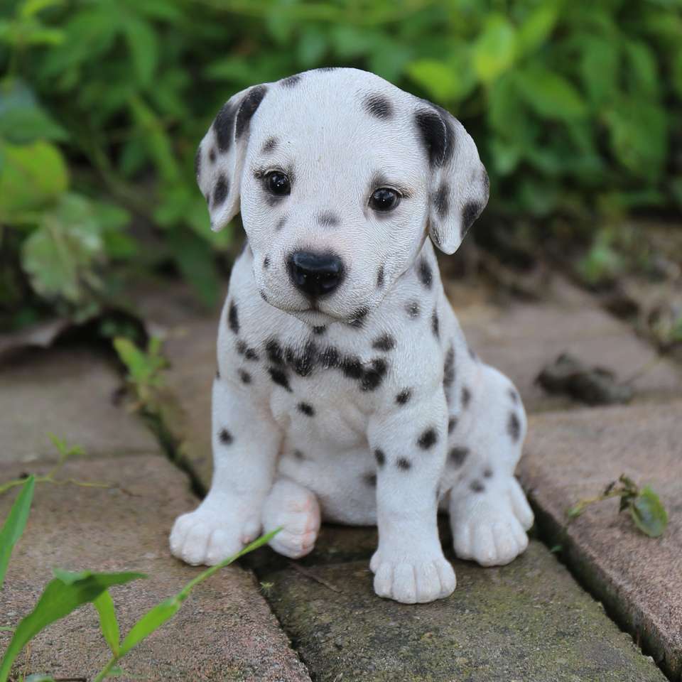 Dalmatische pup legpuzzel online