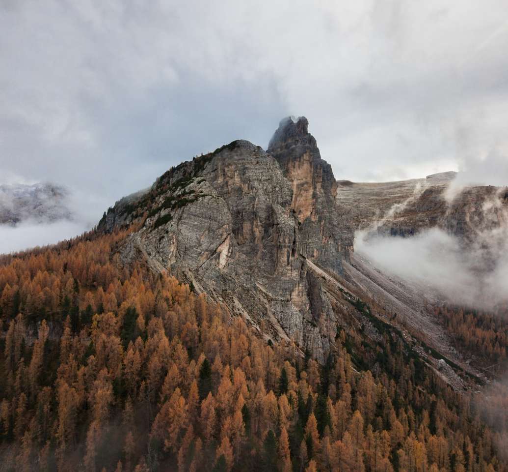 horský vrchol prohlížení lesa pod bílou a šedou oblohou skládačky online