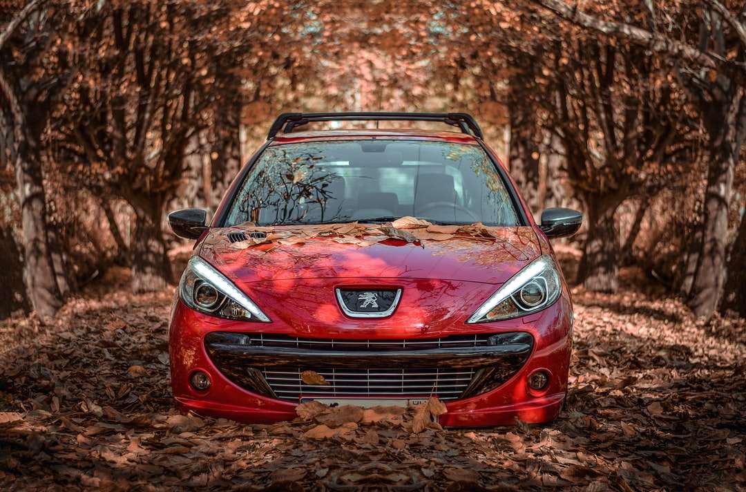 красный автомобиль Peugeot днем онлайн-пазл