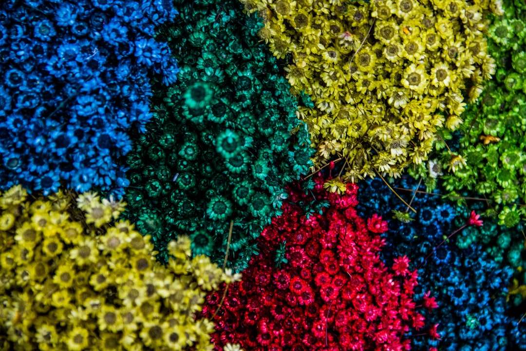 въздушен изстрел от разноцветни цъфтящи цветя онлайн пъзел