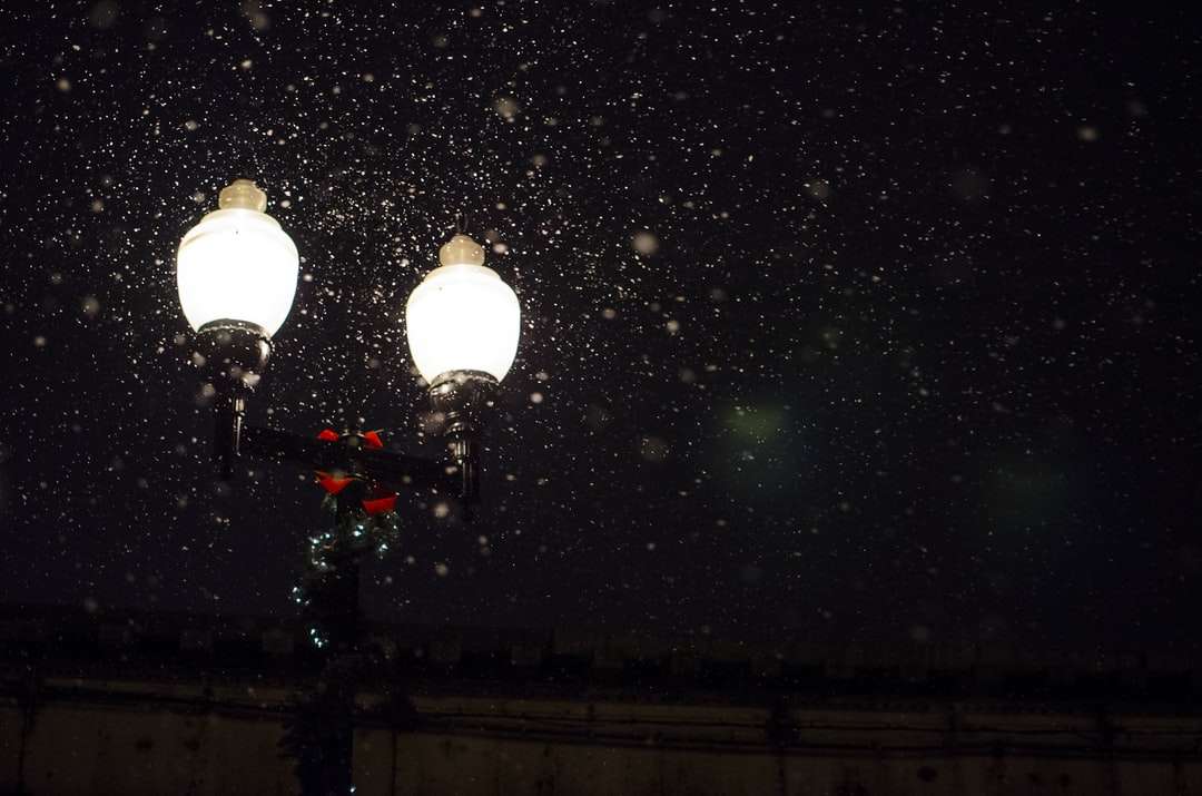 Foto de ángulo bajo de una lámpara de 2 focos con nieve cayendo rompecabezas en línea