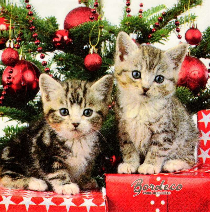 gattini sotto l'albero di Natale puzzle online