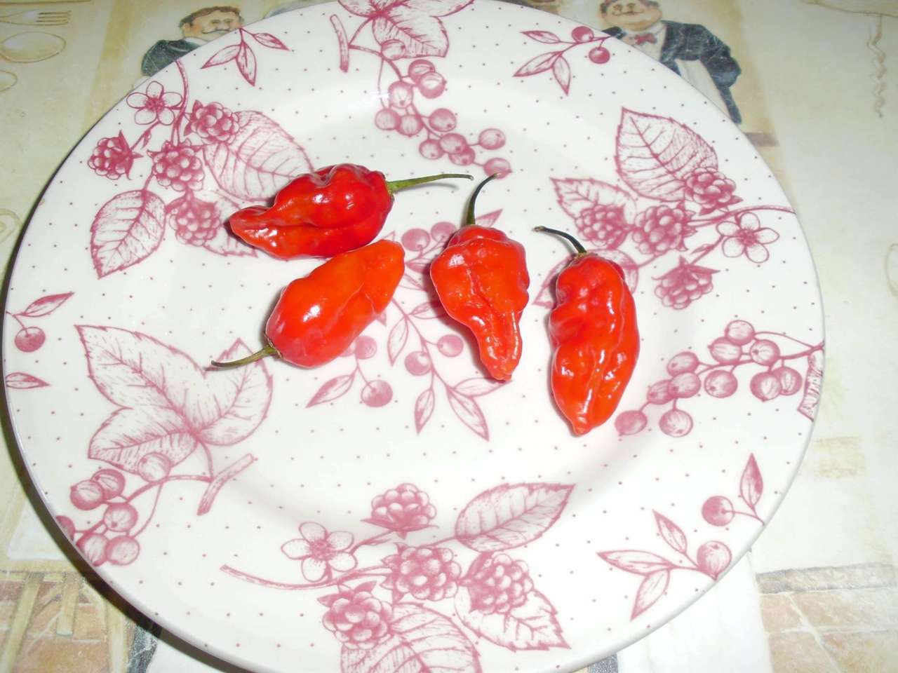 very hot chillies Puglia Italy jigsaw puzzle online