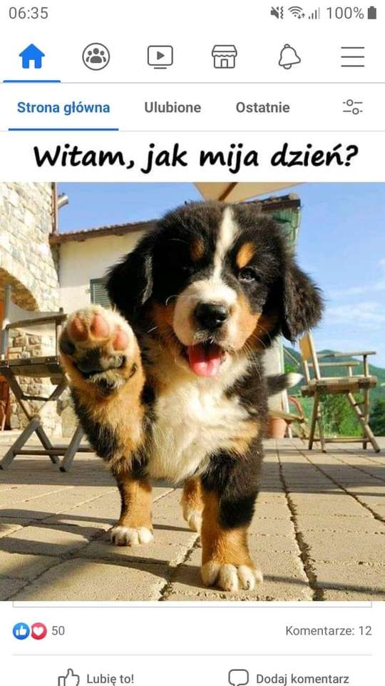 Hond van Facebook :) online puzzel