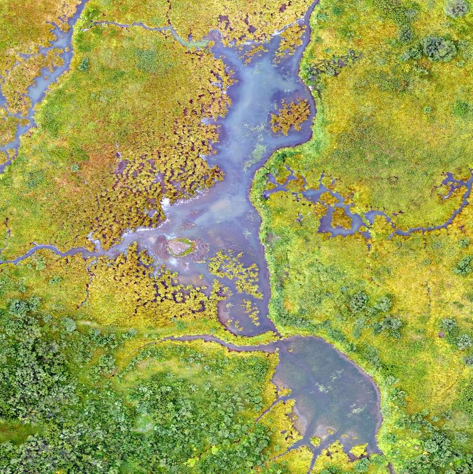 fotografia aerea di un corpo d'acqua calmo puzzle online