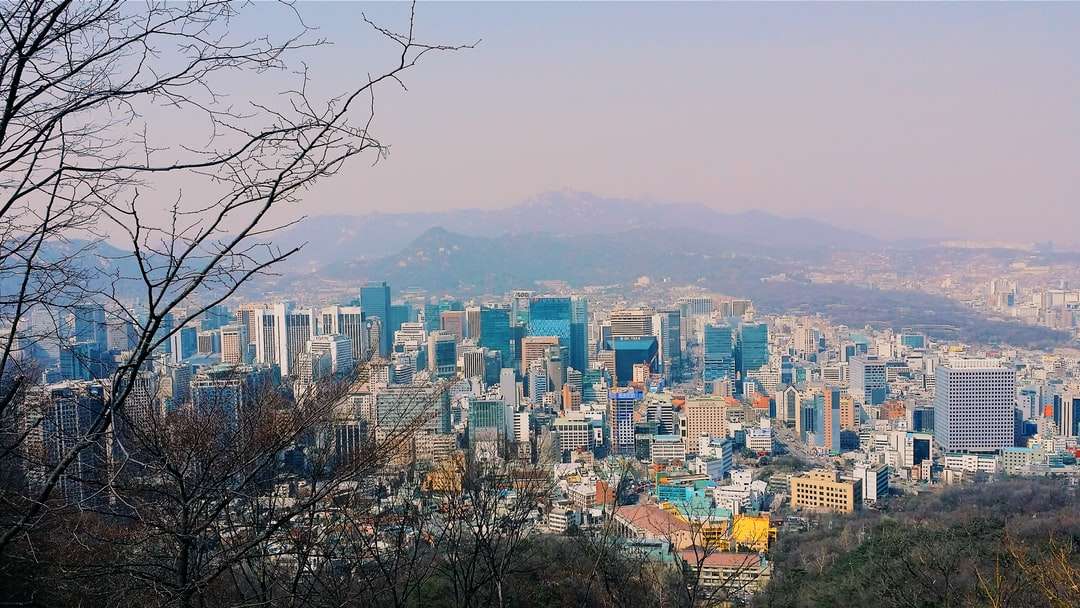 въздушна фотография на града през деня онлайн пъзел