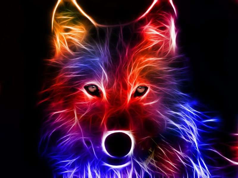 цветной волк онлайн-пазл