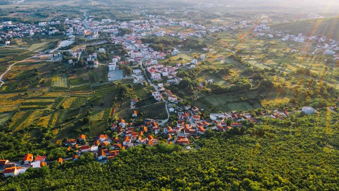 vista aérea de árvores e casas verdes durante o dia quebra-cabeças online