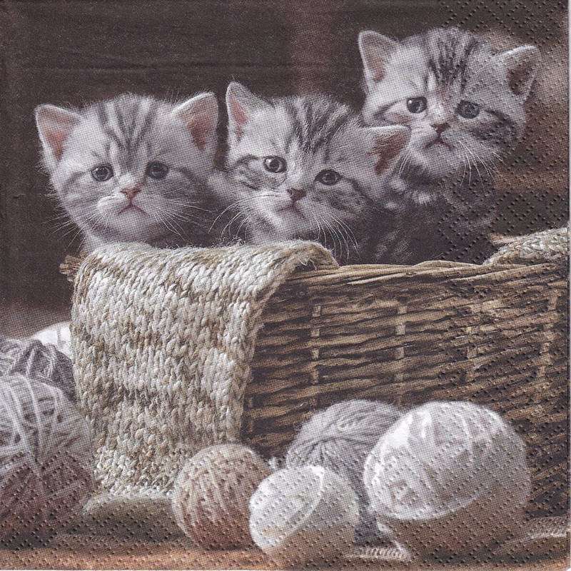 kittens in de mand legpuzzel online