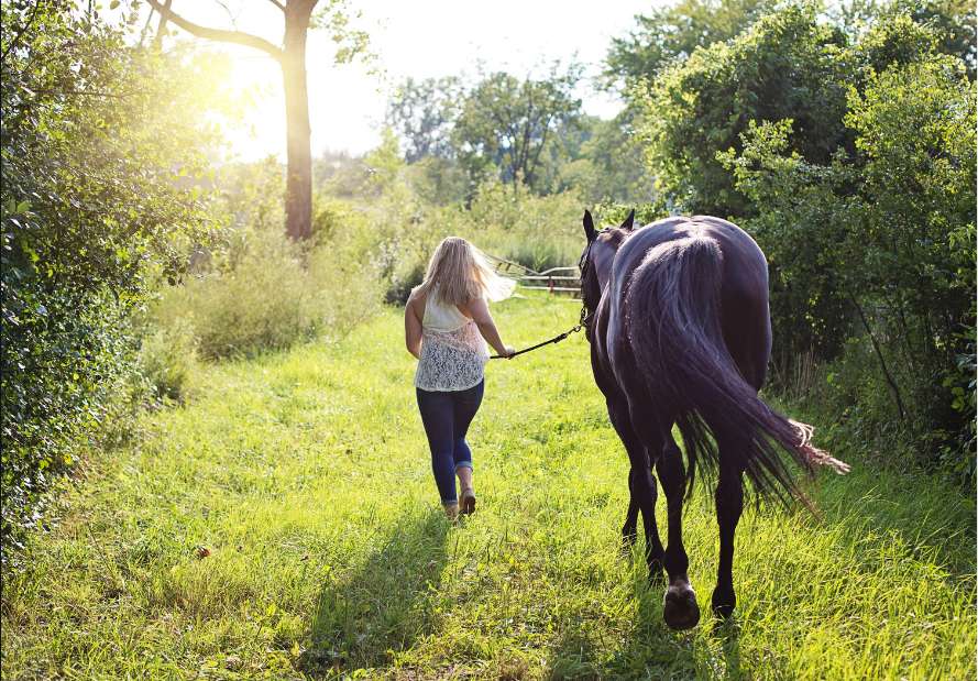 Häst och en flicka Pussel online