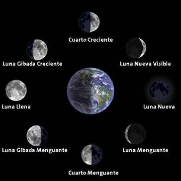 Månen och dess faser Pussel online
