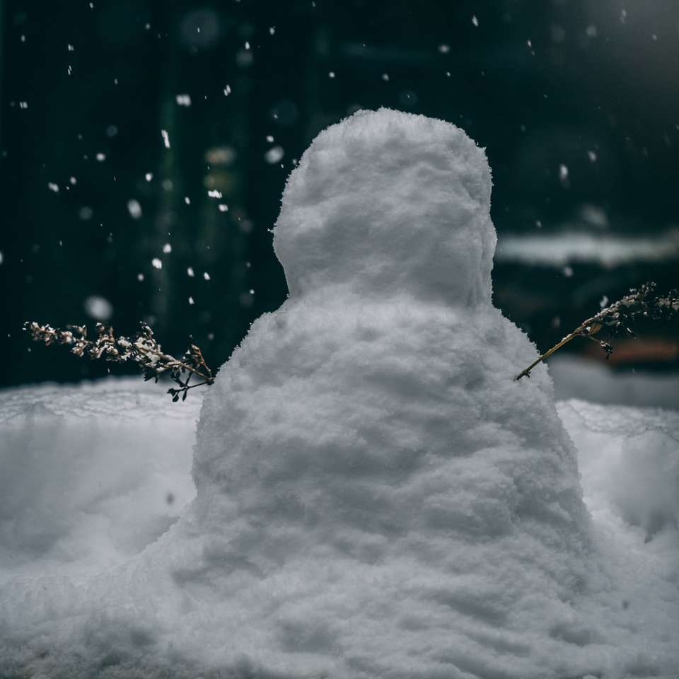Sneeuwpop buiten tijdens close-upfotografie overdag online puzzel