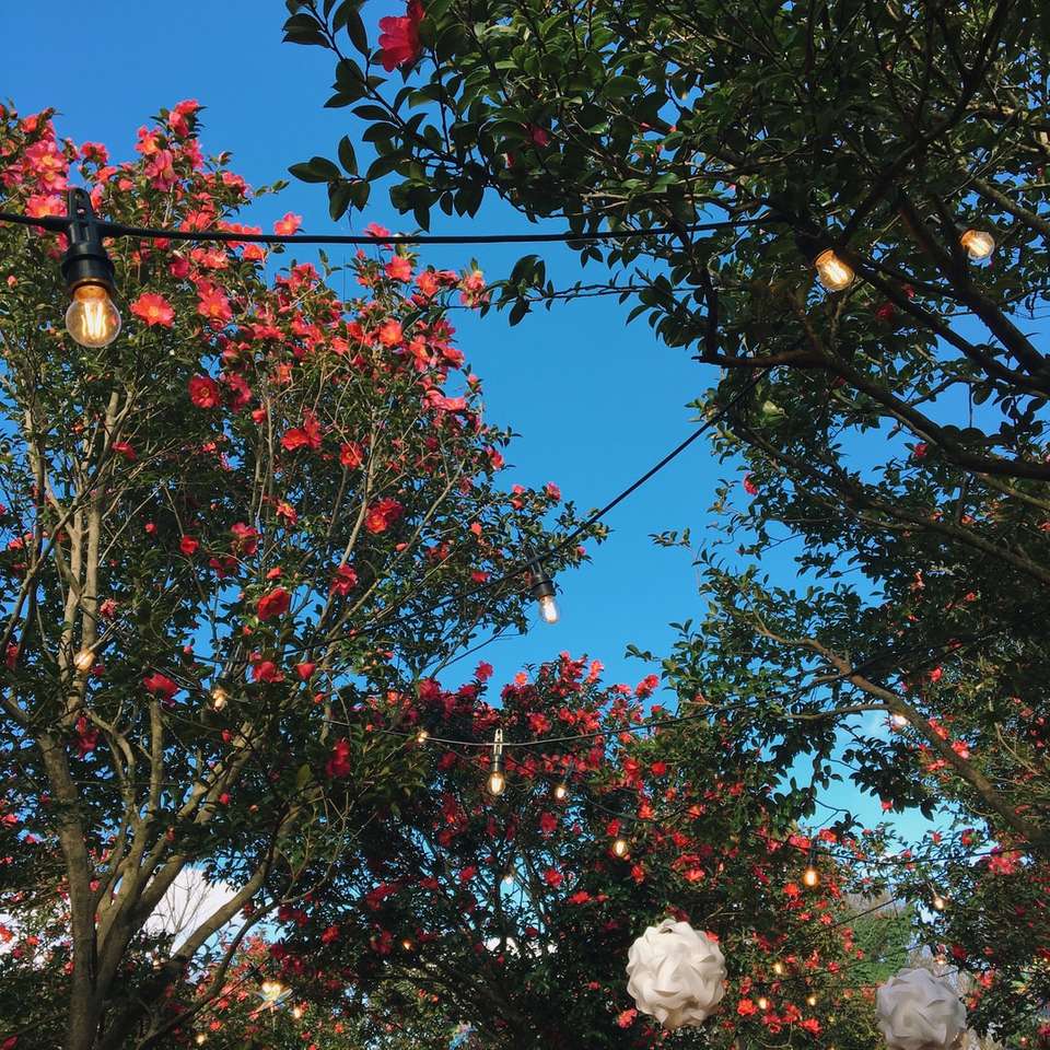bílý kulatý ornament na stromě během dne skládačky online