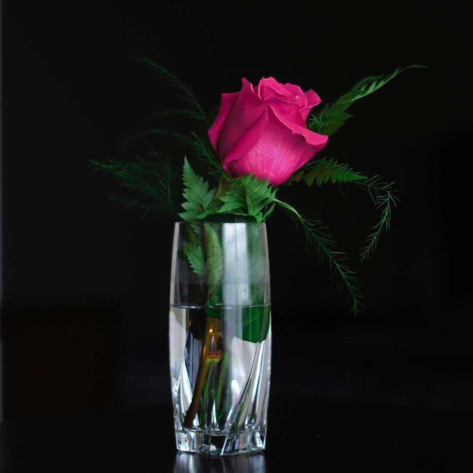 рожева троянда у прозорій скляній вазі онлайн пазл