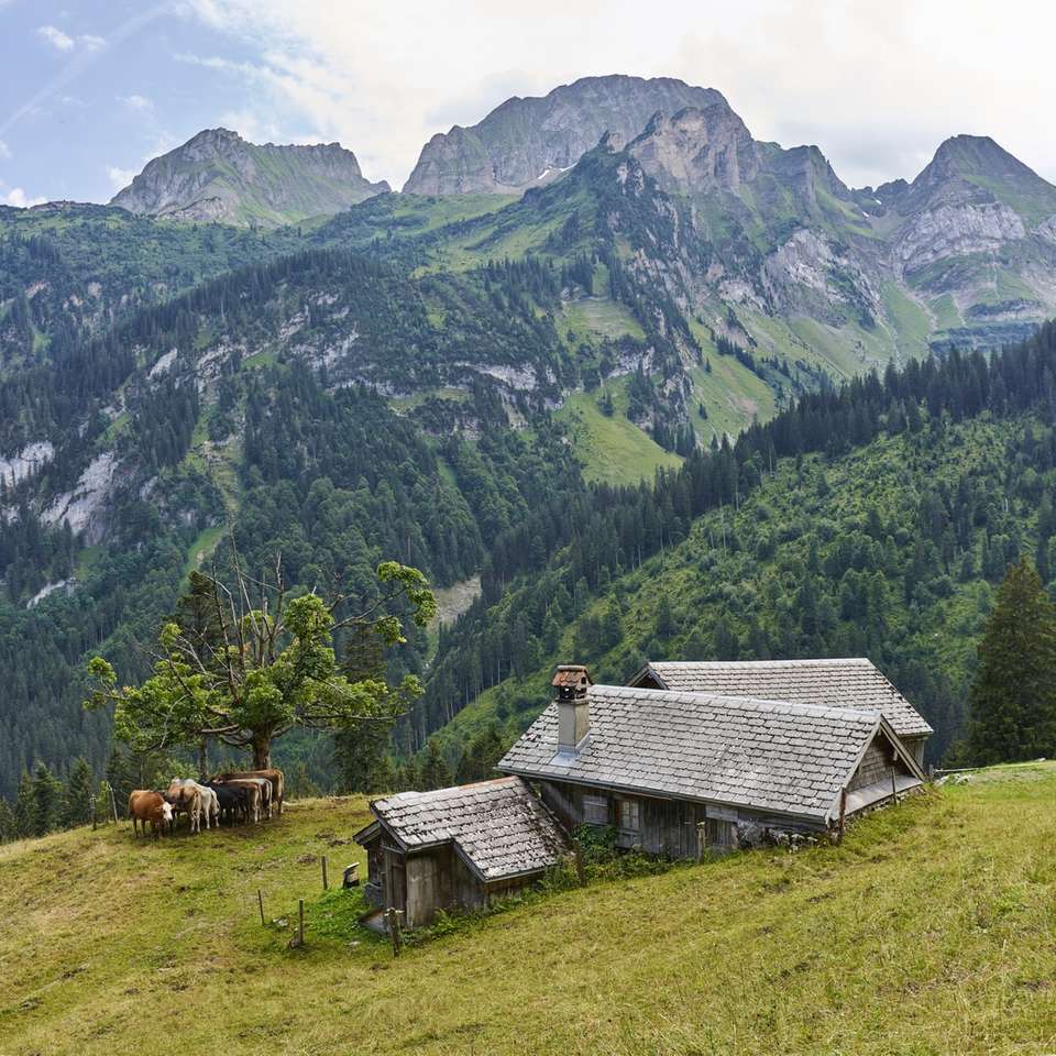 architecturale fotografie van groene berg online puzzel