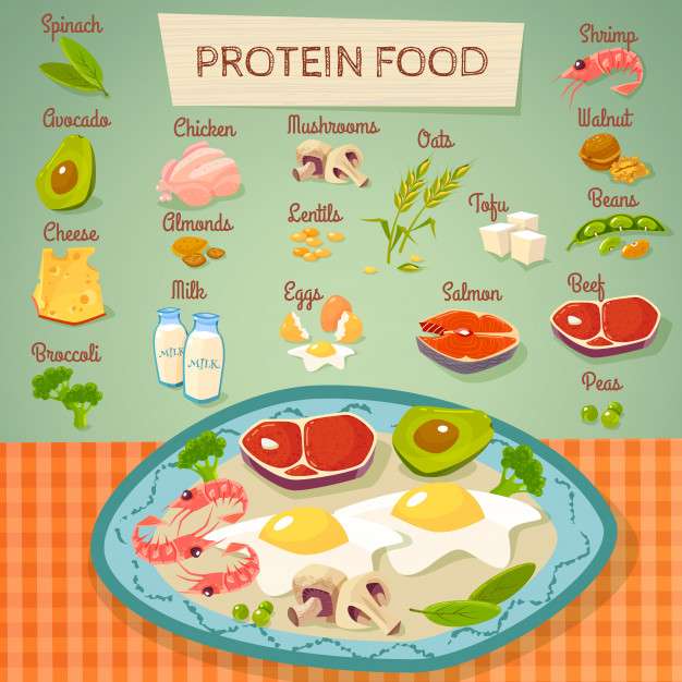 Protein jigsaw puzzle online