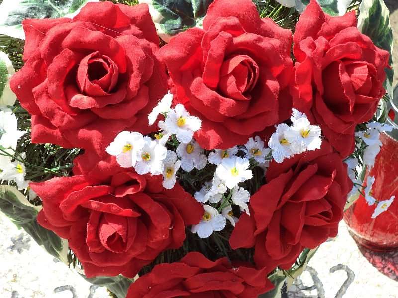 rosas vermelhas quebra-cabeças online