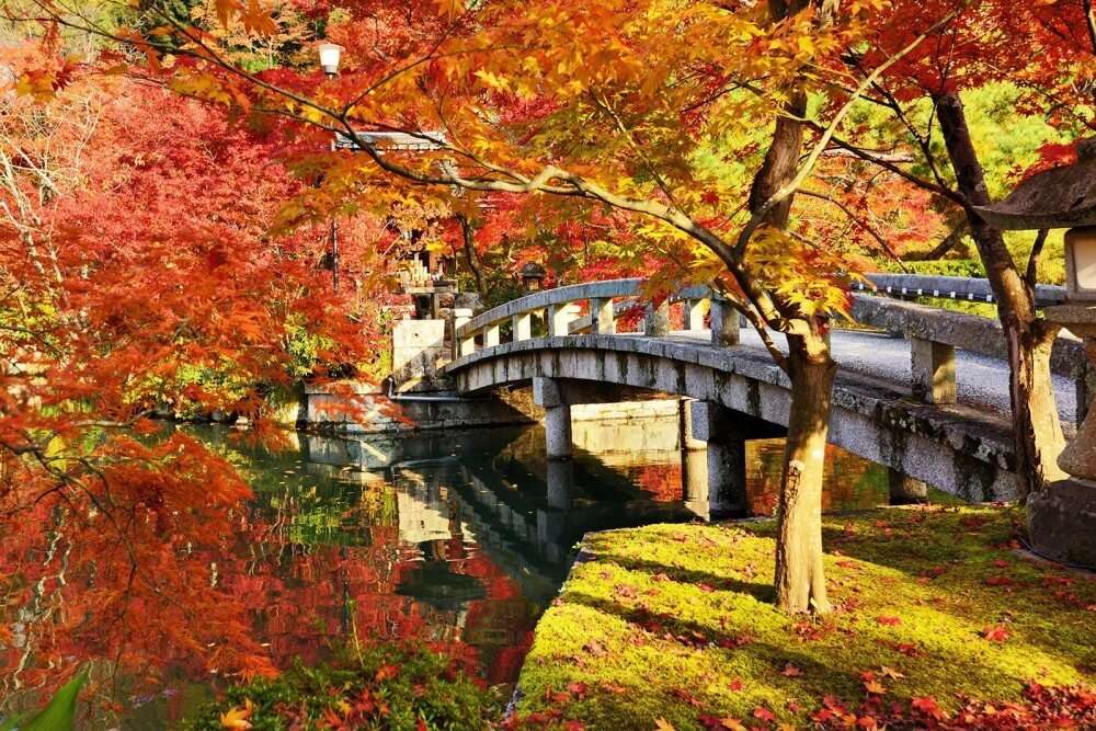 řeka s mostem, podzim online puzzle