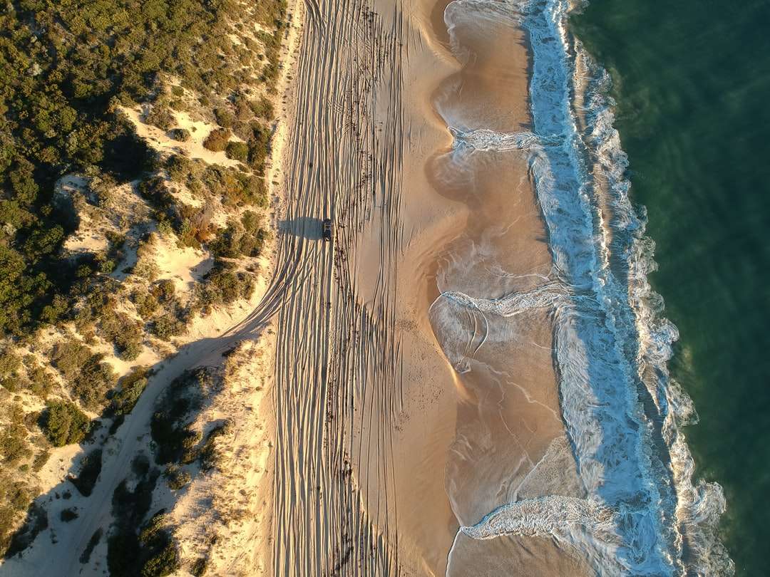 въздушен изглед на морския бряг онлайн пъзел