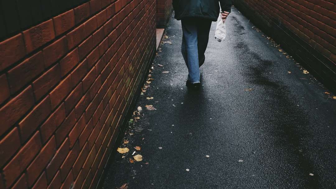 pessoa caminhando em um beco de calçada preta puzzle online