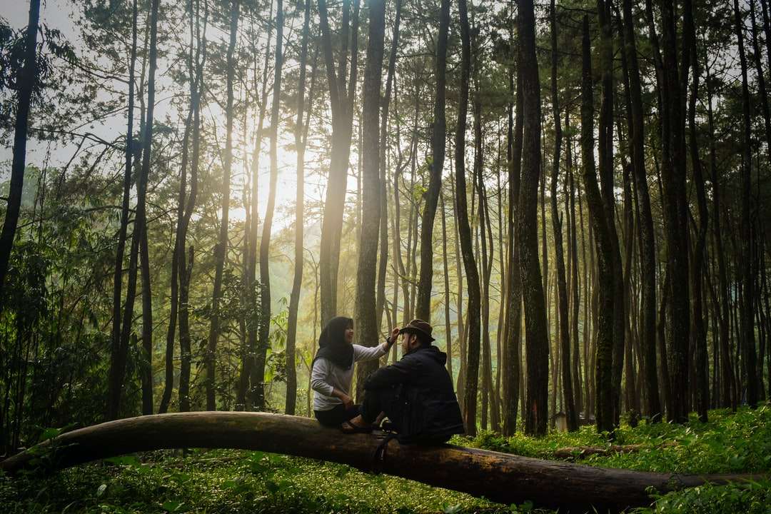 hombre y mujer sentados en tronco de árbol marrón rompecabezas en línea