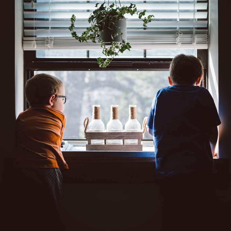 два мальчика стоят перед окном онлайн-пазл